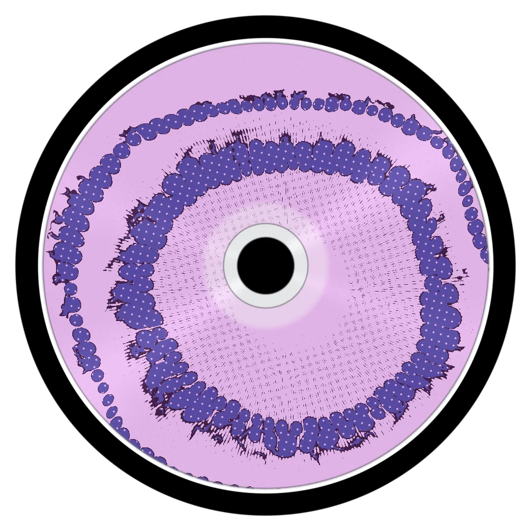 NORMAL cover