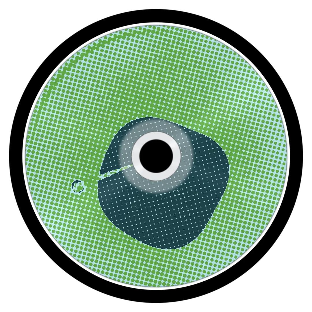 ONYX II cover