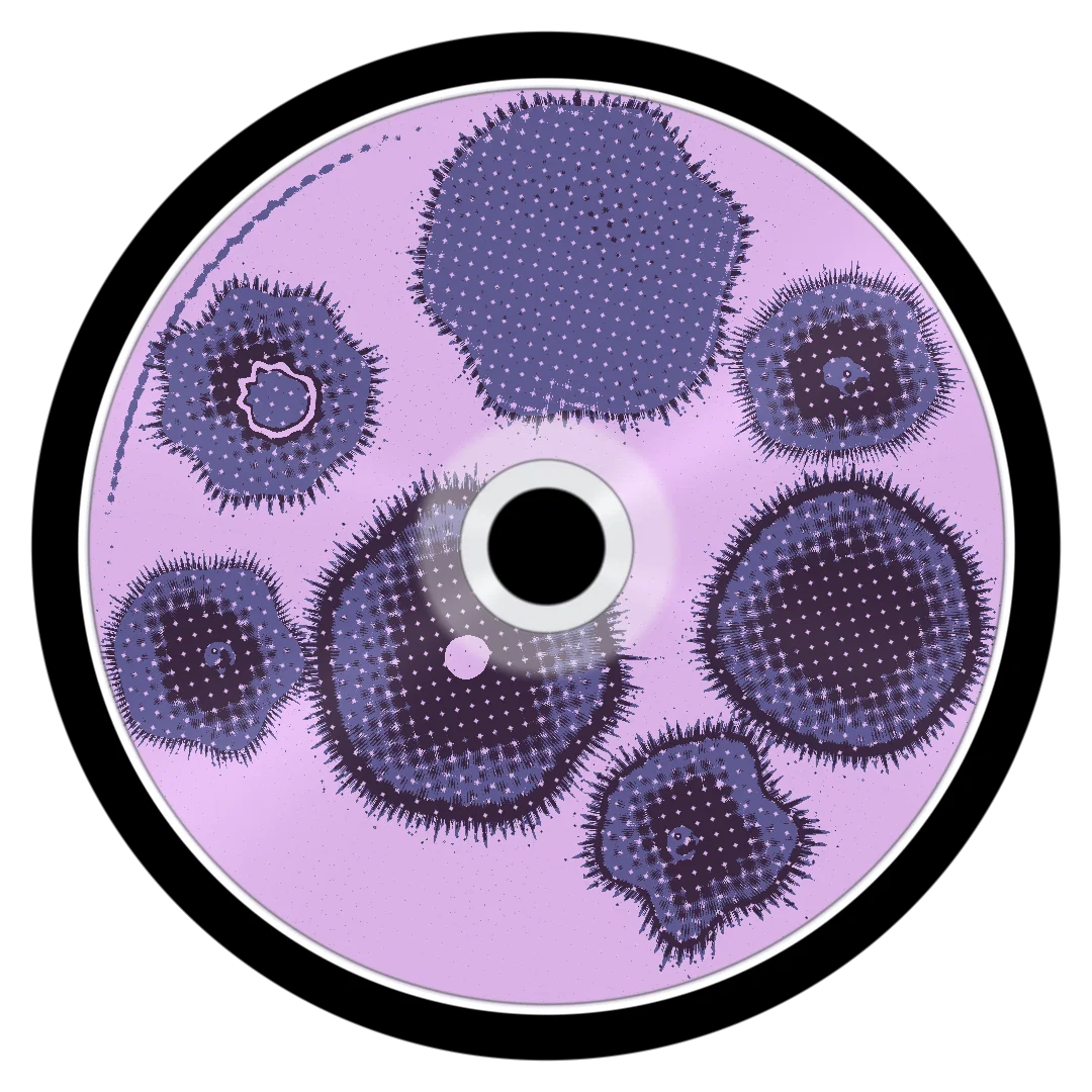 ONYX cover
