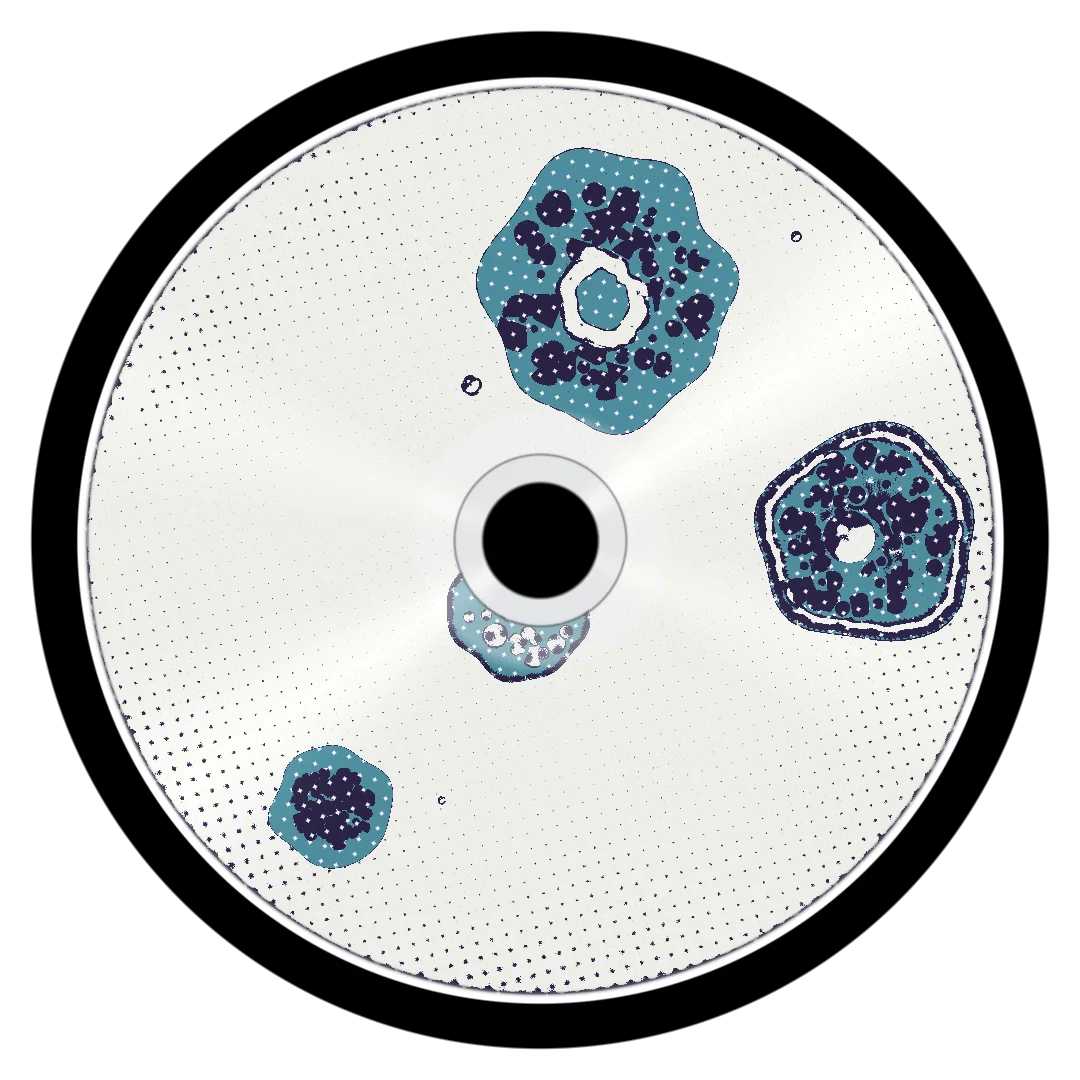 ORCHIDS cover