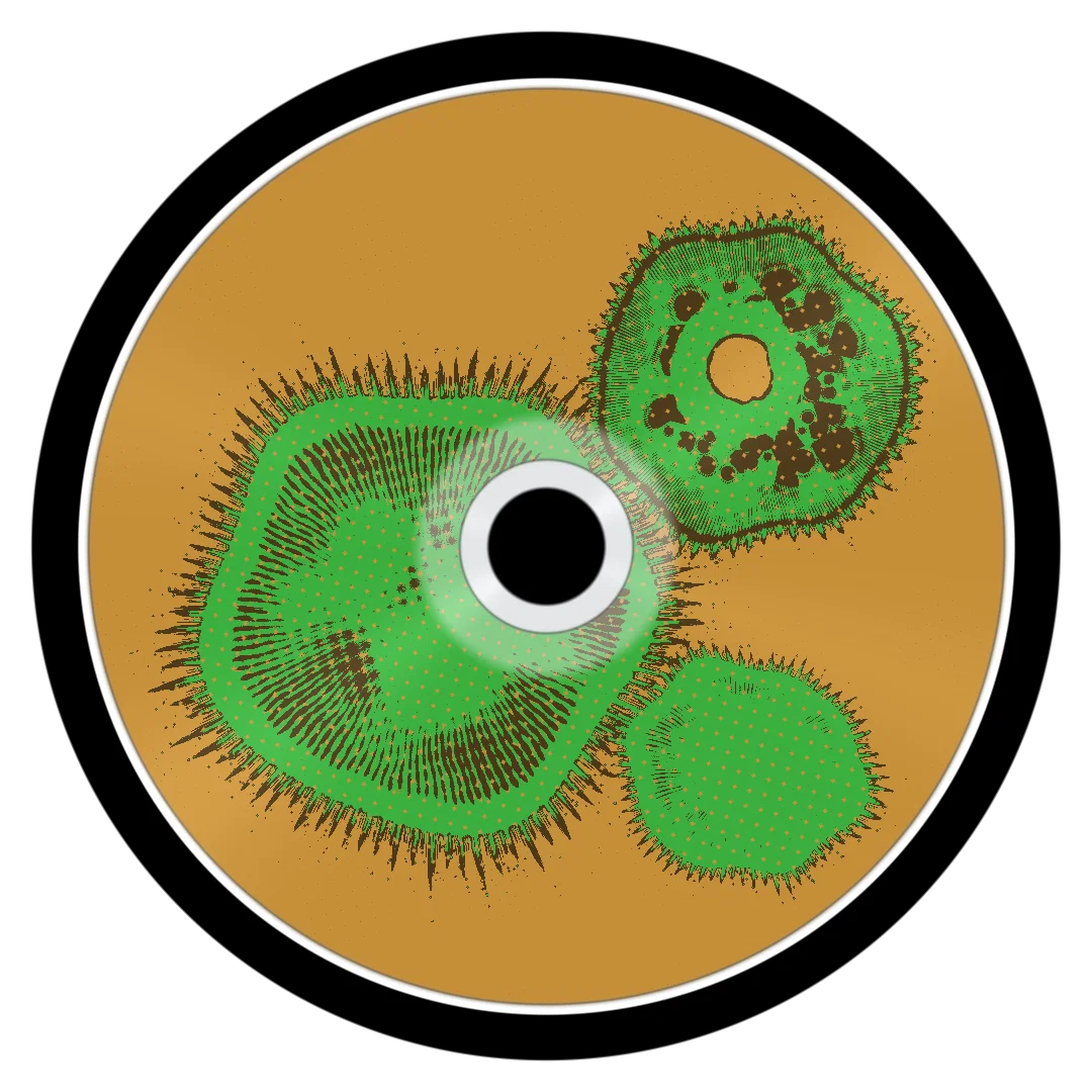 OTHER HALF cover