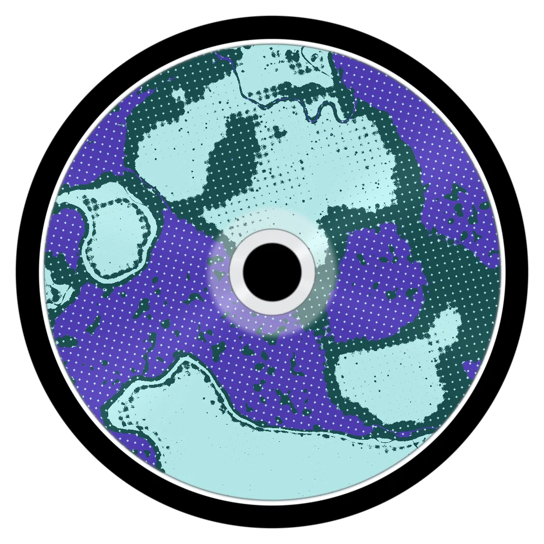 PALMTREE cover
