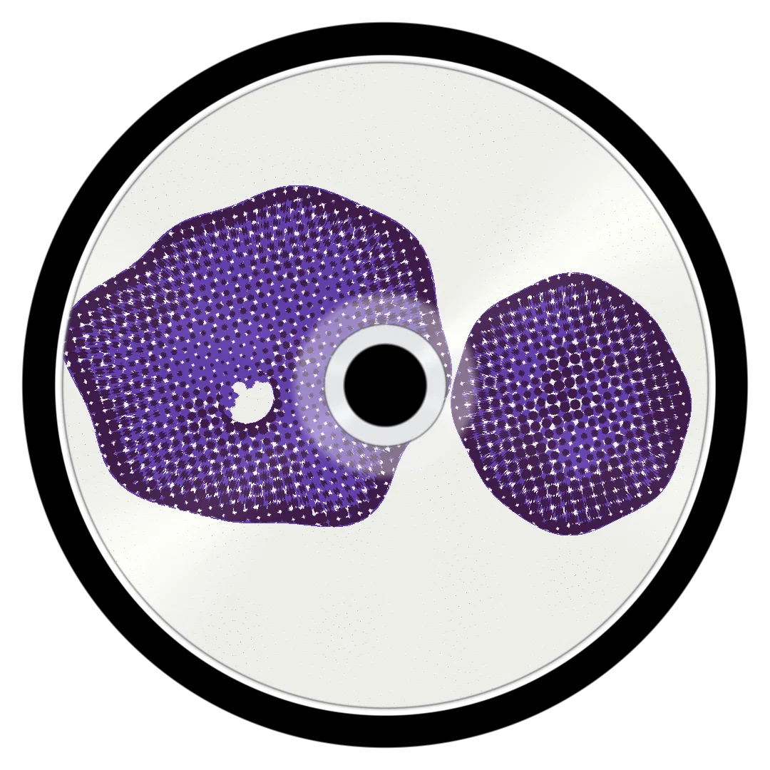 PATAWON cover