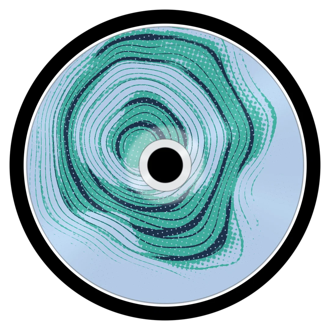 POLACE cover
