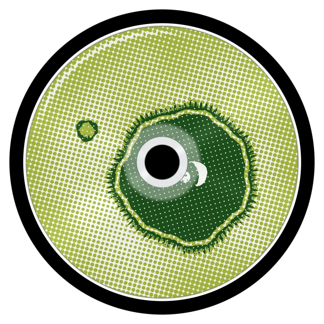 POLYGRAPH cover