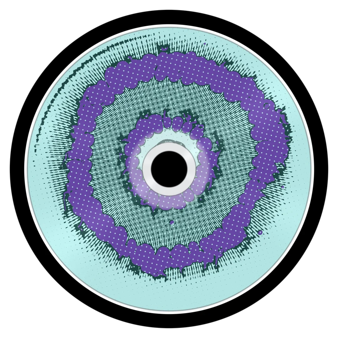 PROMISELAND cover