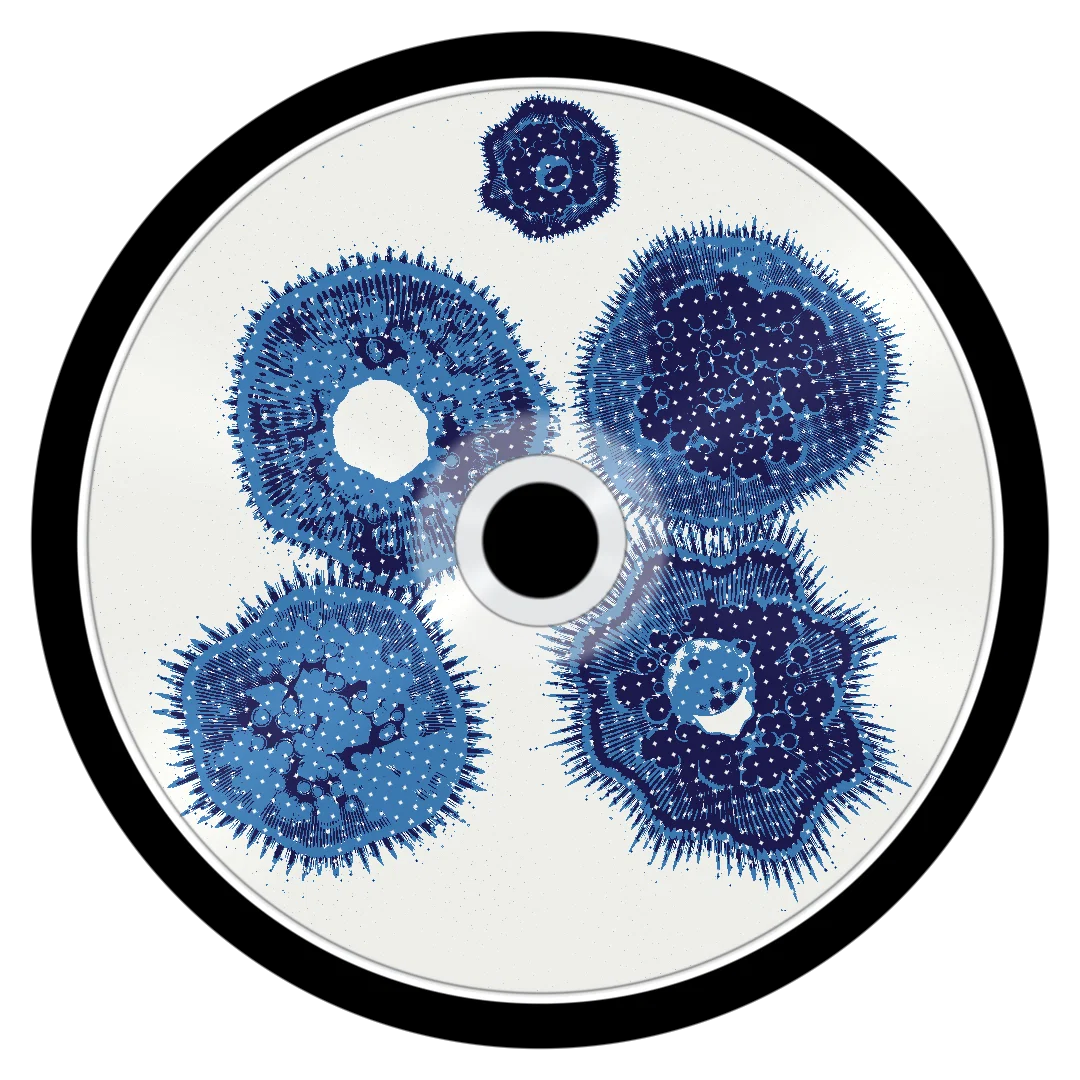 PRTL cover