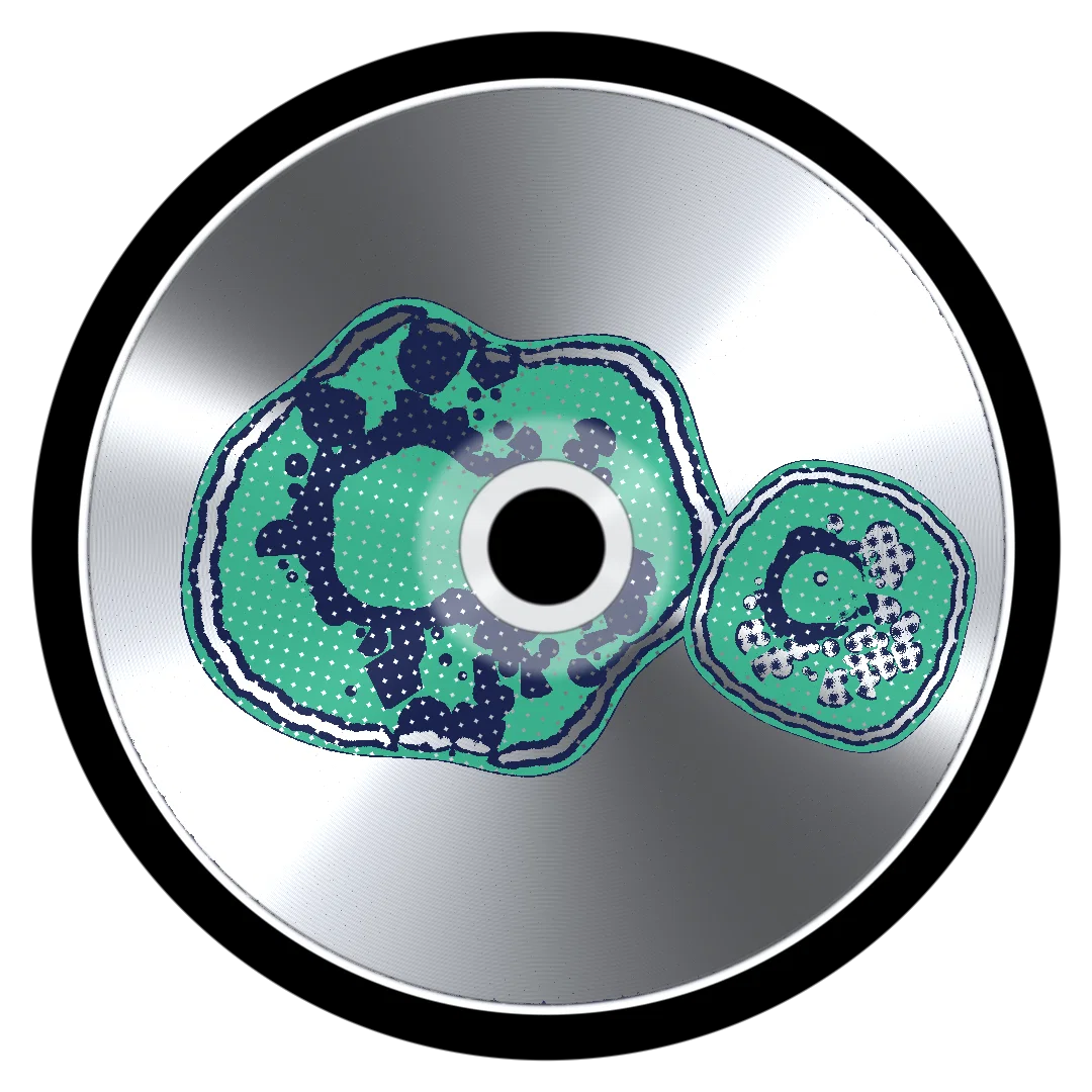 RASH cover