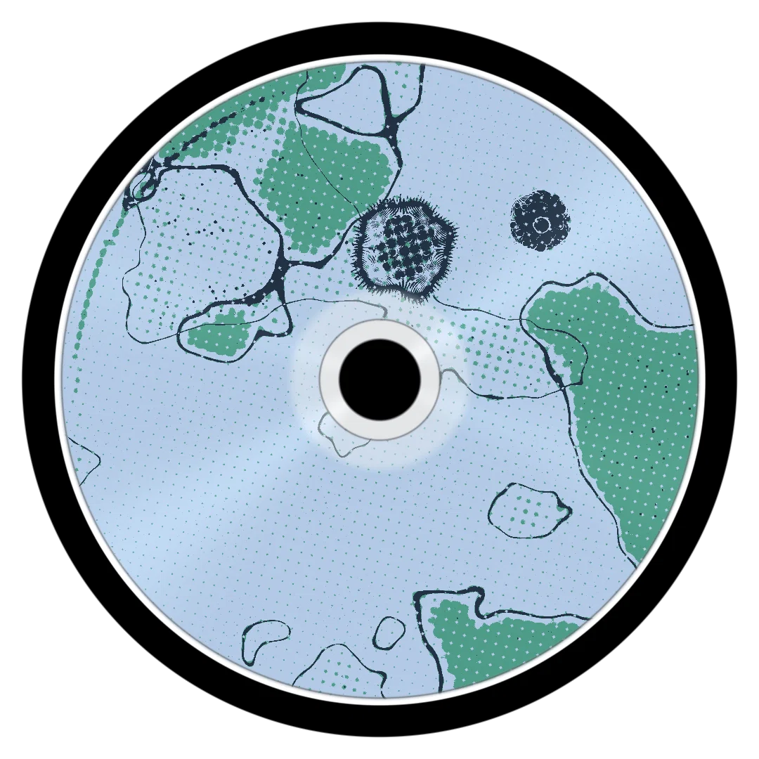 RIDDLER cover