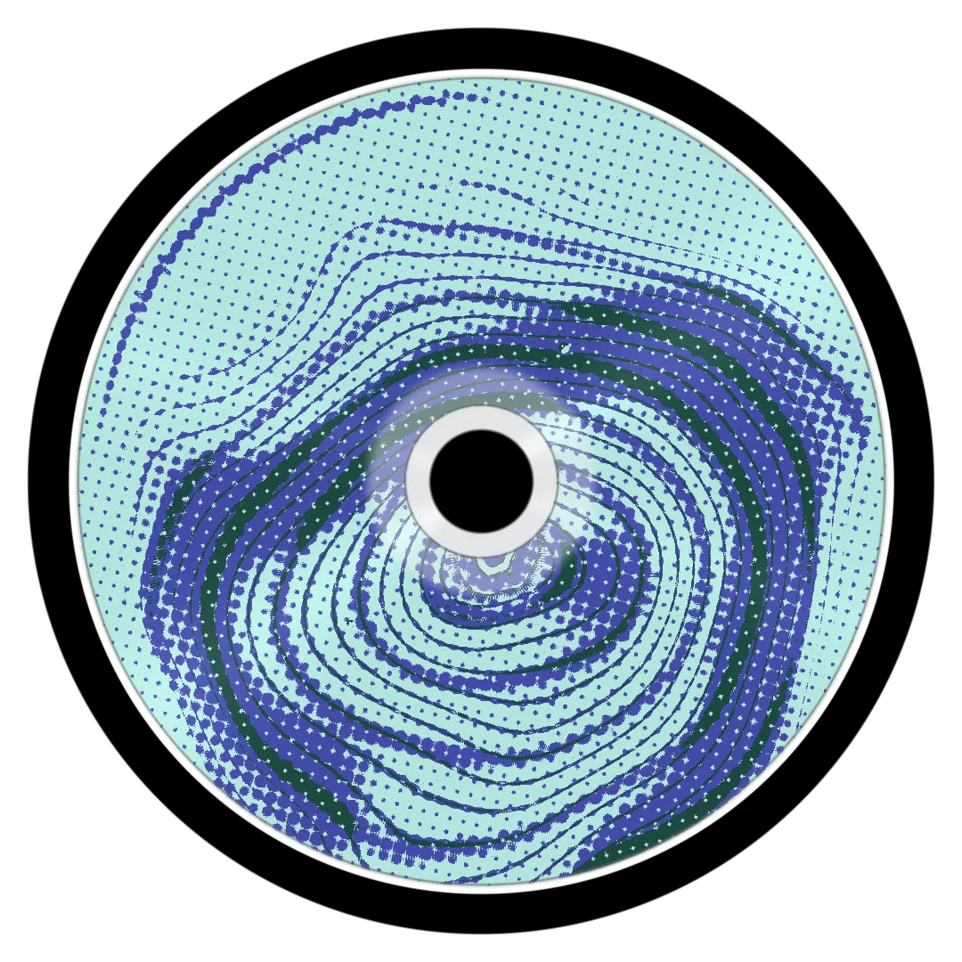 RIO cover