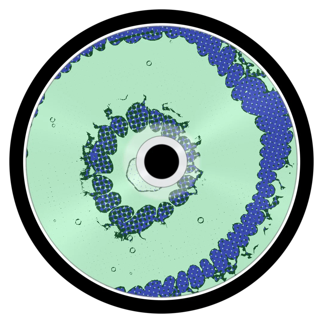 NORTH cover