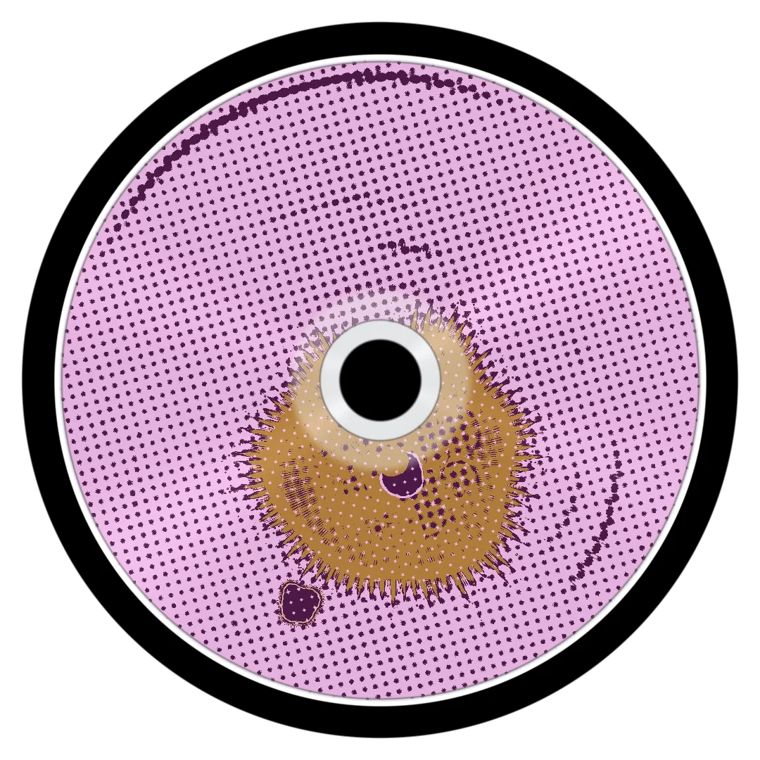 SEAL cover