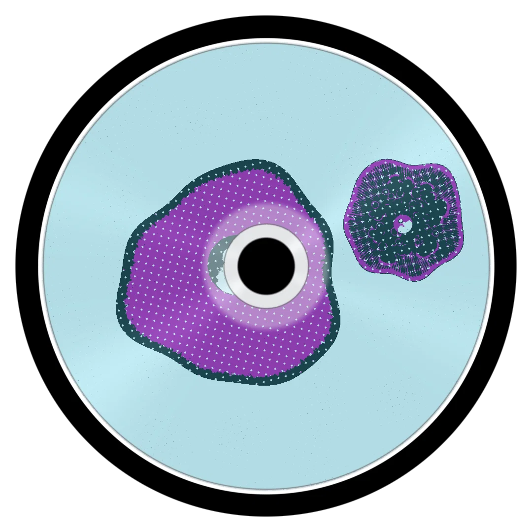 SEVELEVEN cover