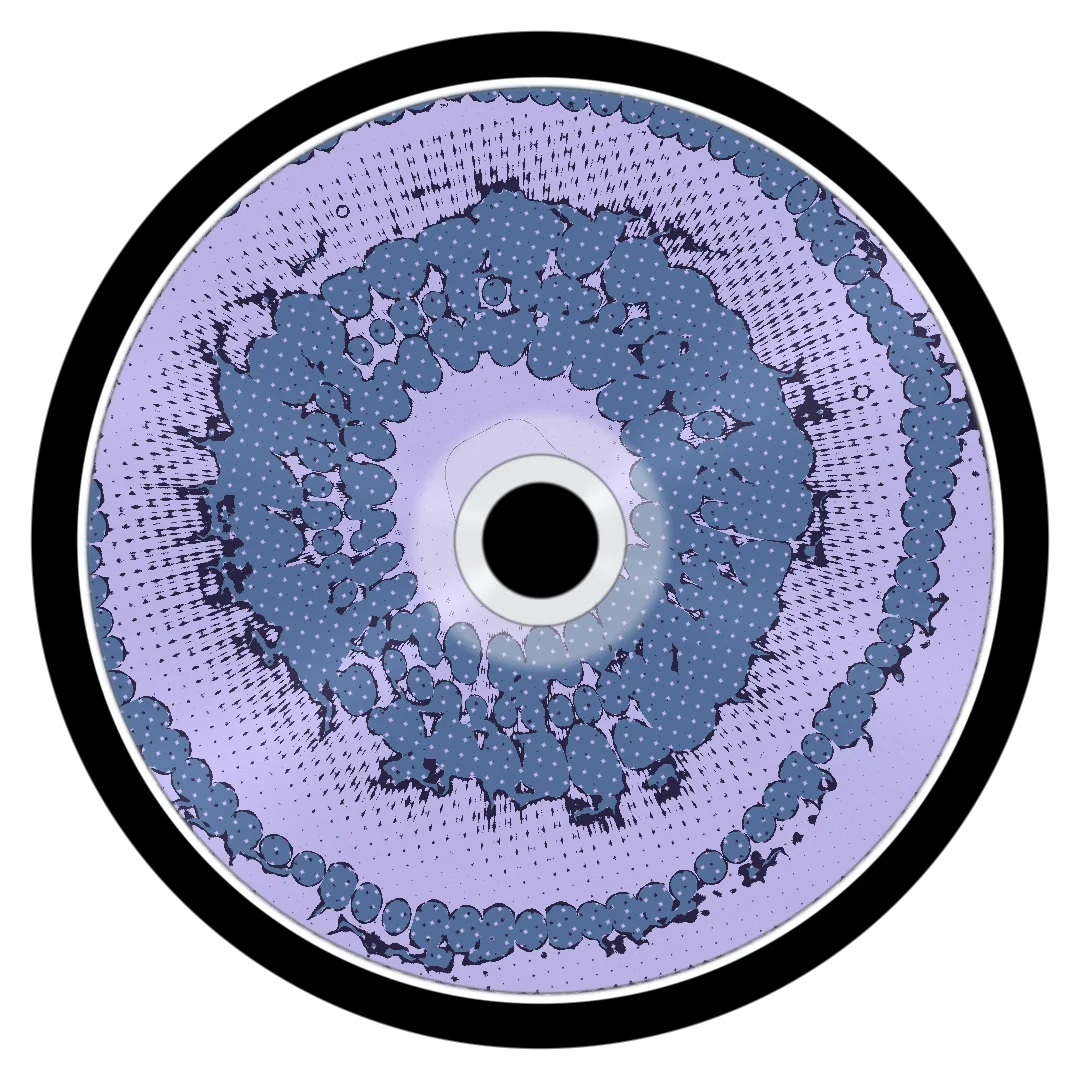 SHINJU cover