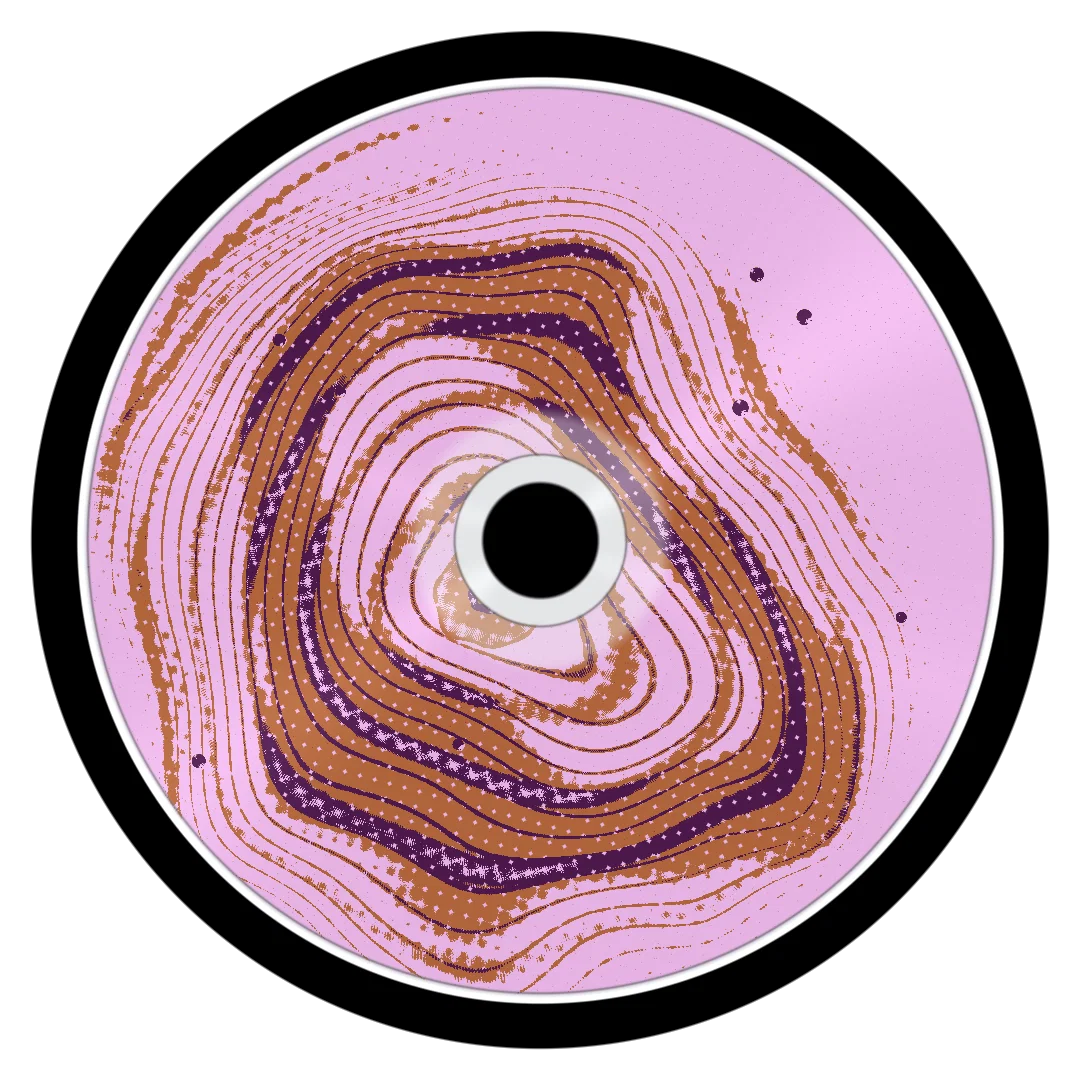 SHOCKWAVE cover