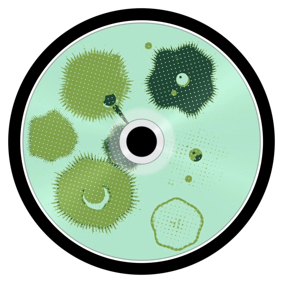 SIGNALBAD cover