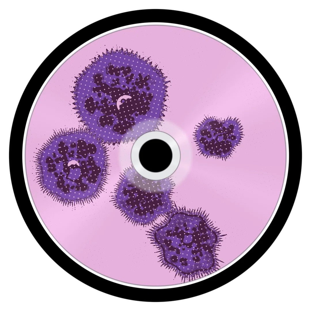 SIMPLICITY cover