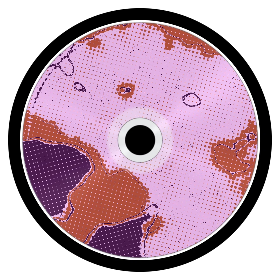 SKIZZLE cover