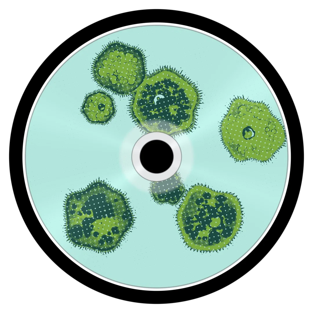 SOCCER cover