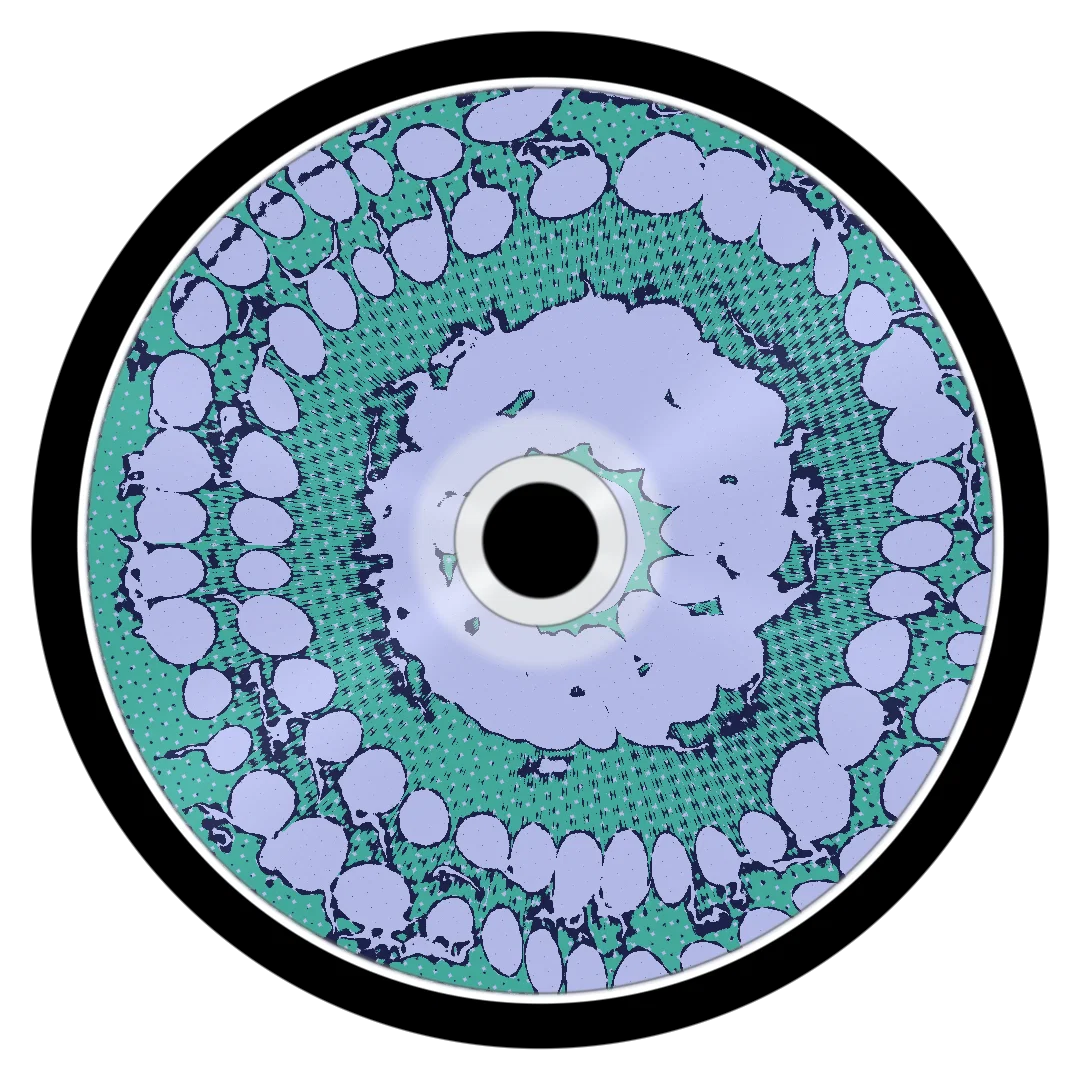 SOMNIA cover