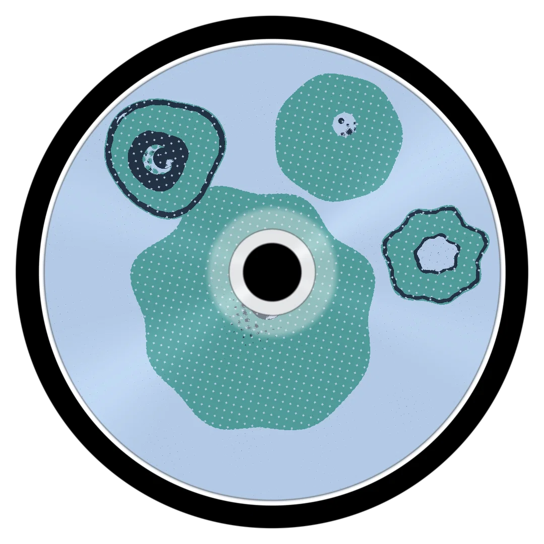 SPOTEM cover