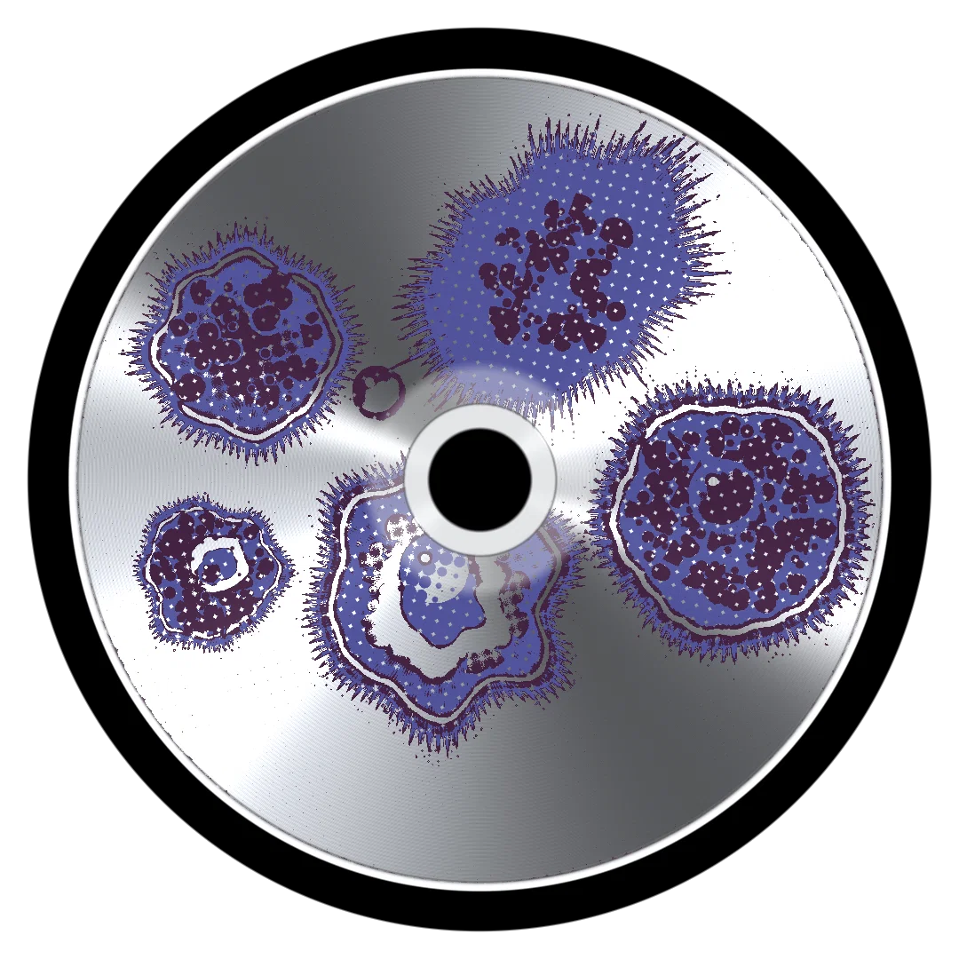 SPRING II cover