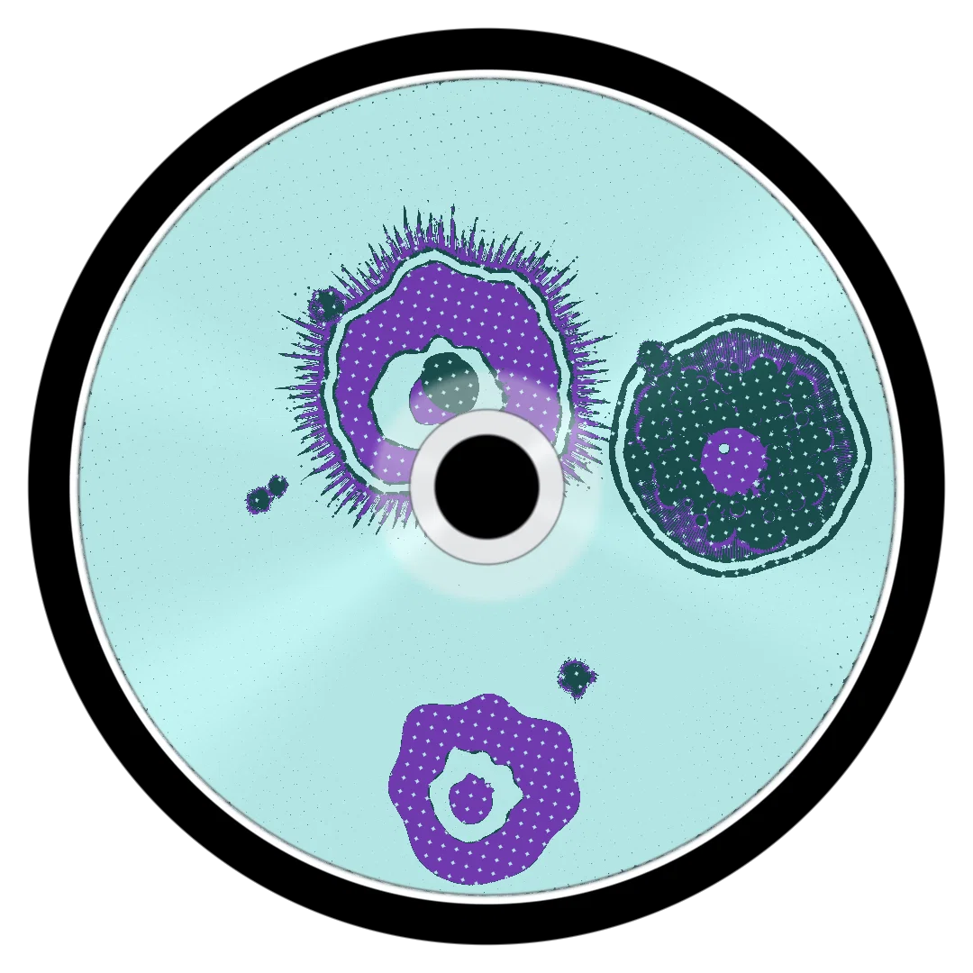 SQUISHY cover