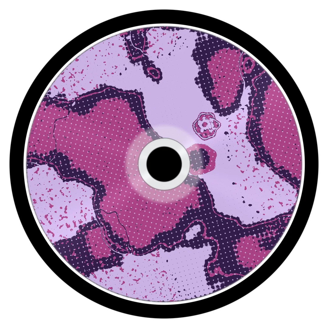 STFU cover