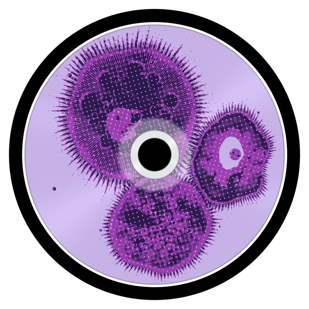 MALICIOUS cover