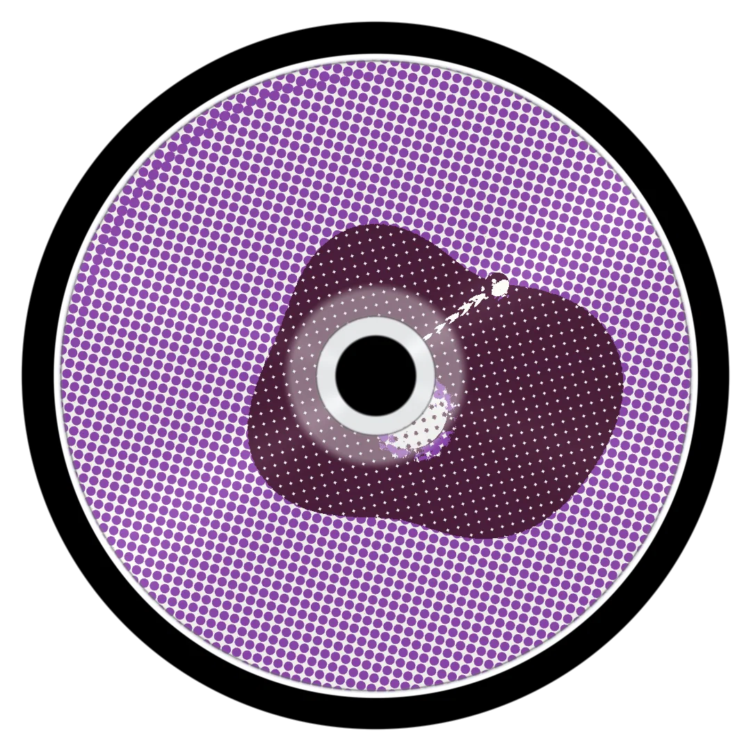 SWAGGINLA cover