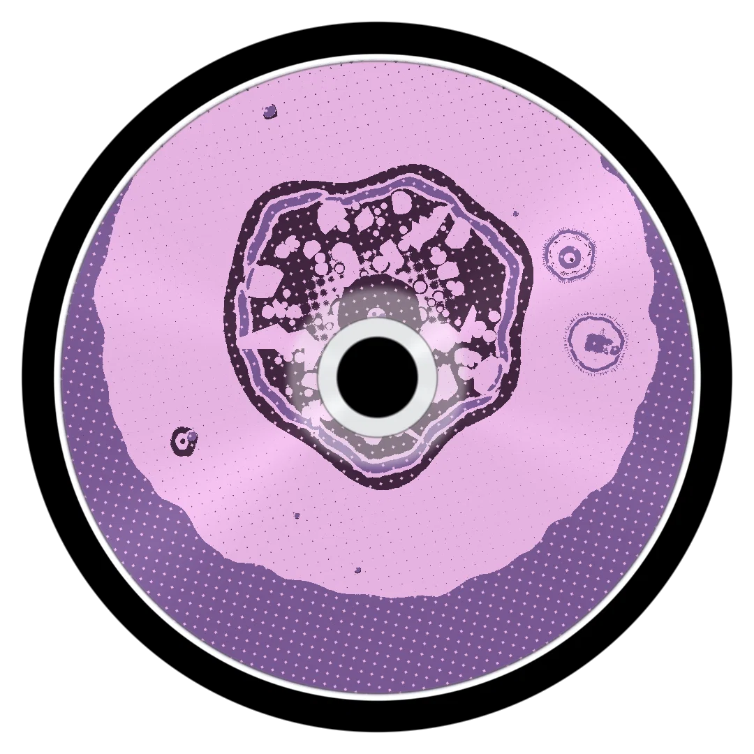 SUBARU cover