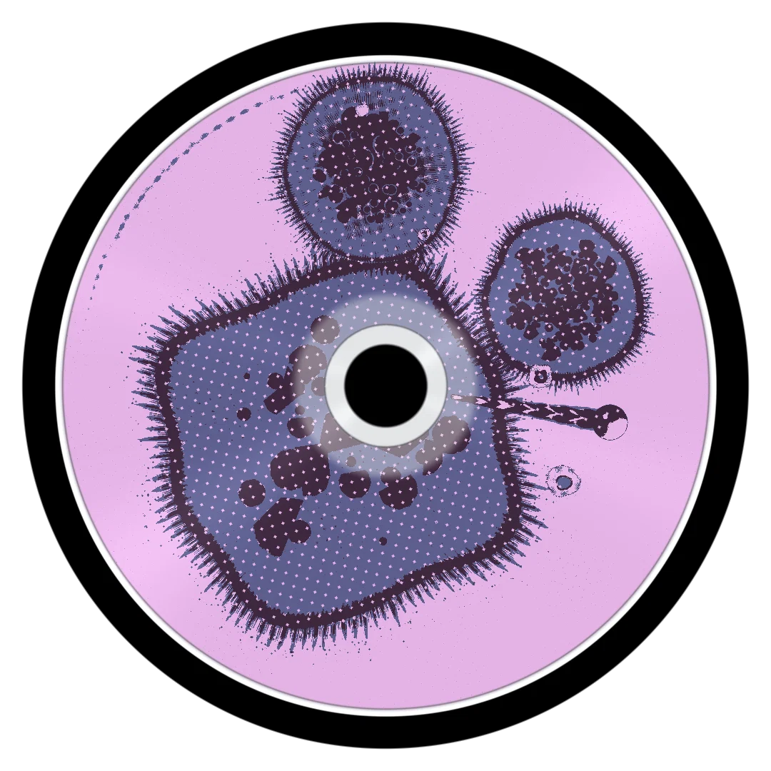 SUBRIA cover