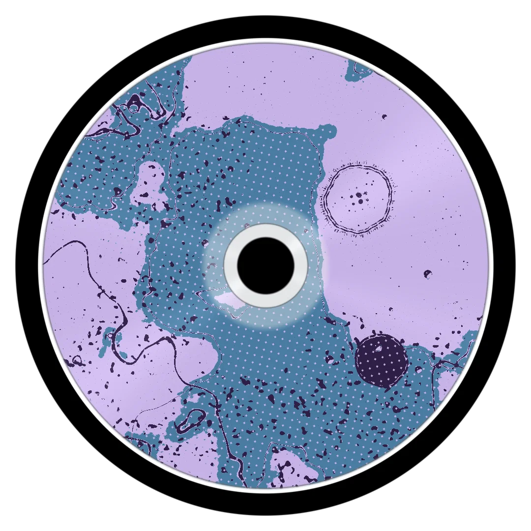 SWIM cover