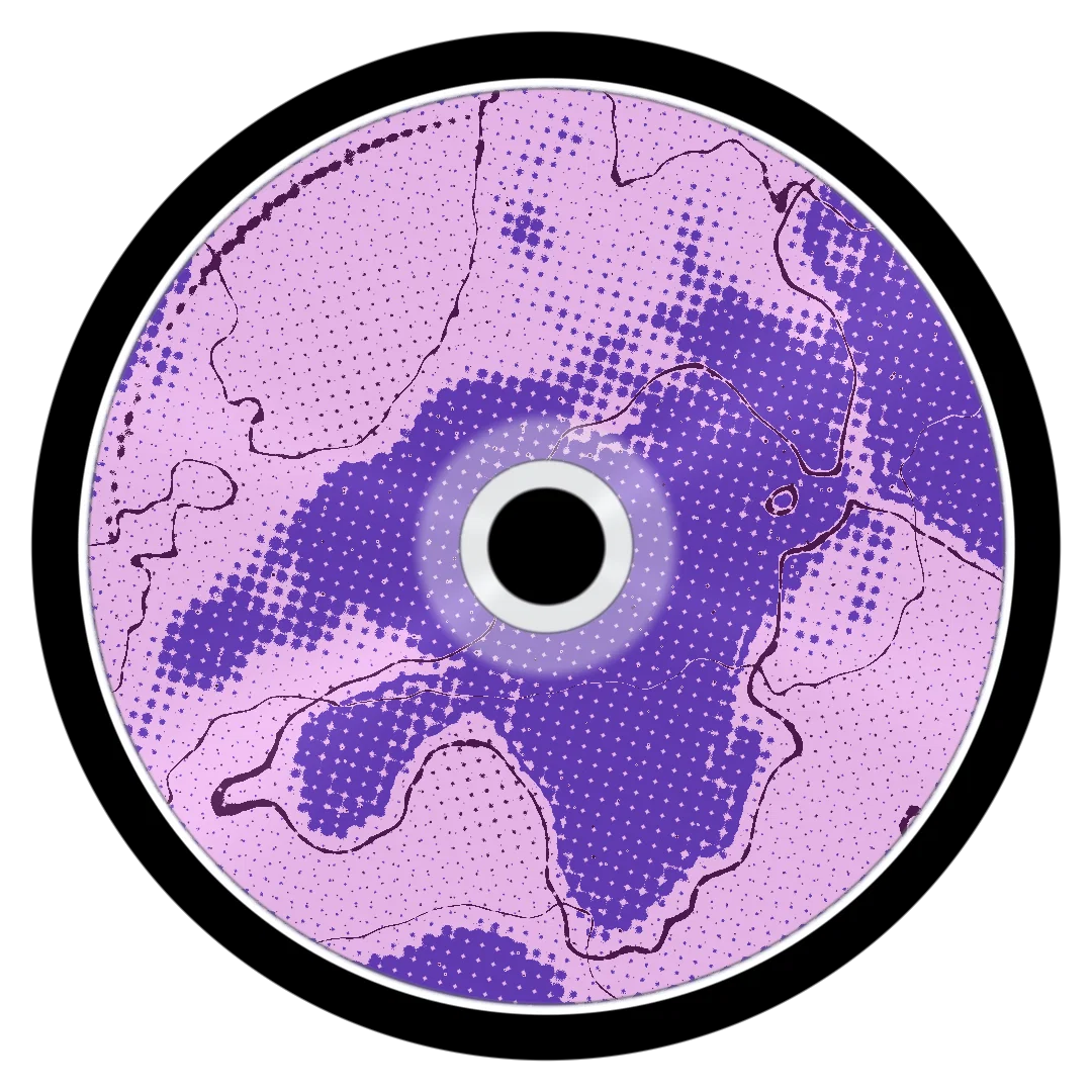 SYNOPSE cover