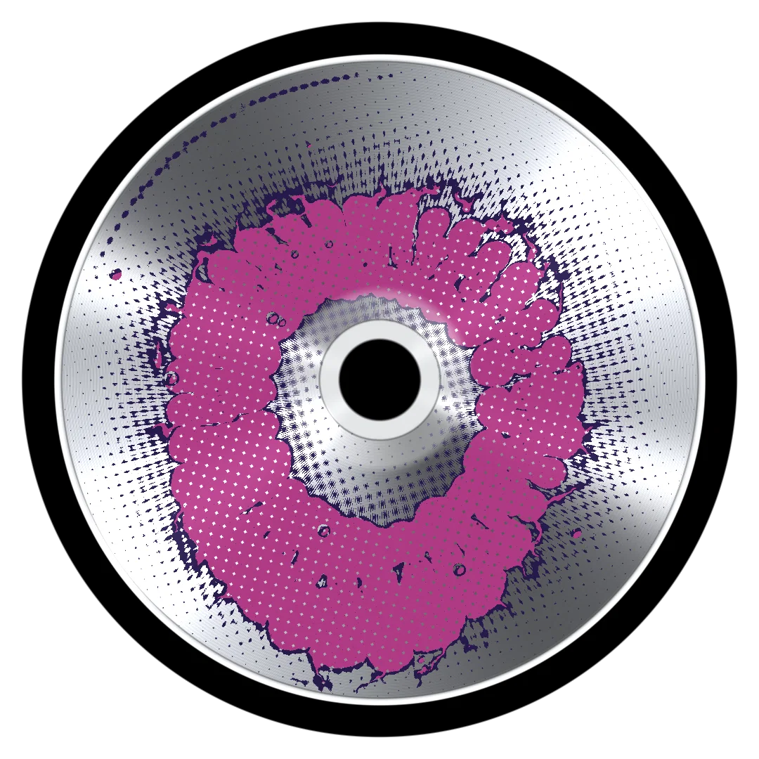 TEAM cover