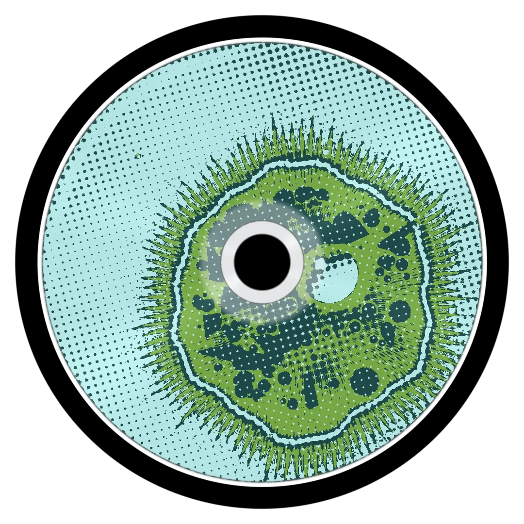 TEDDY cover