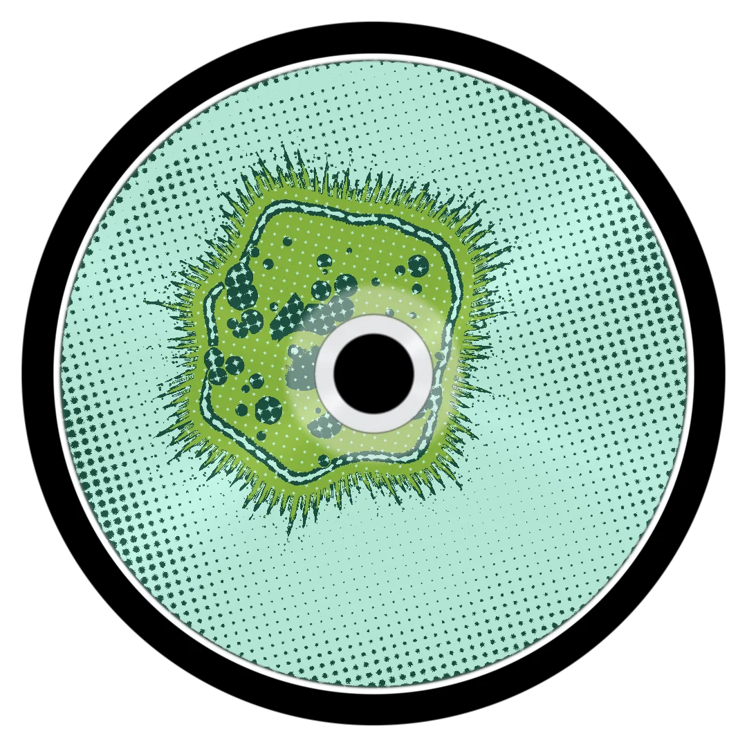 TIDAL II cover
