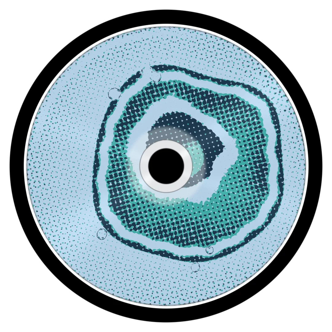 VALORANT cover