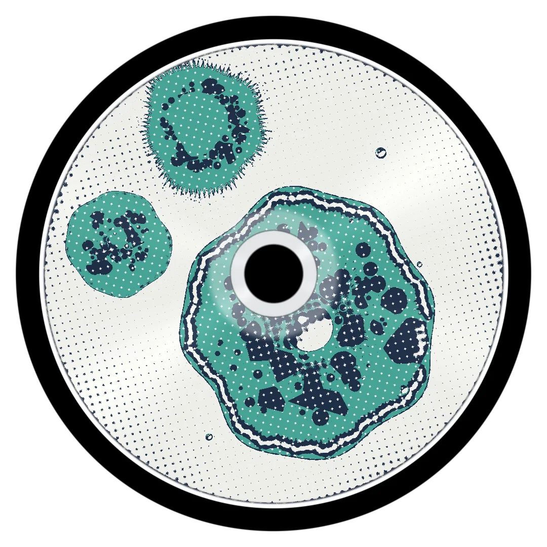 VAMANOS cover