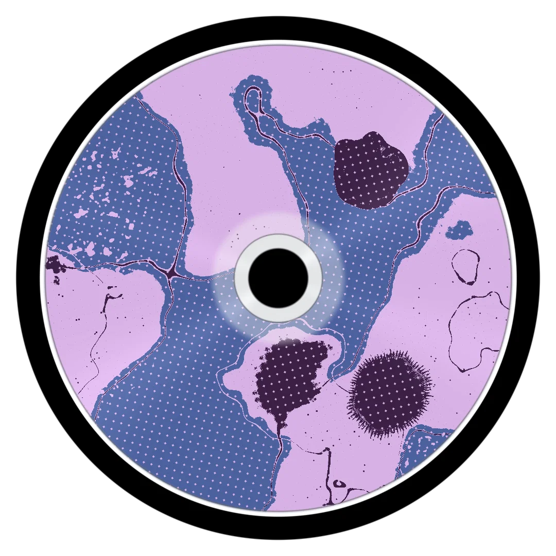 VAMP II cover