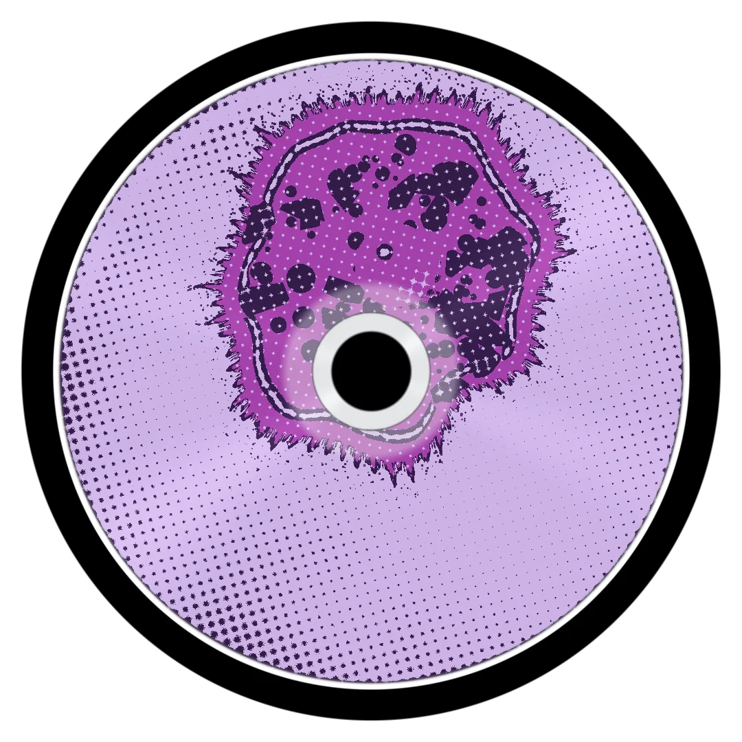 VENUS cover