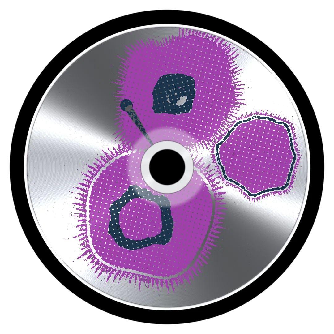 VIBRANT cover