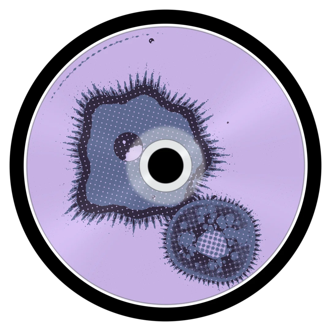VIENA cover
