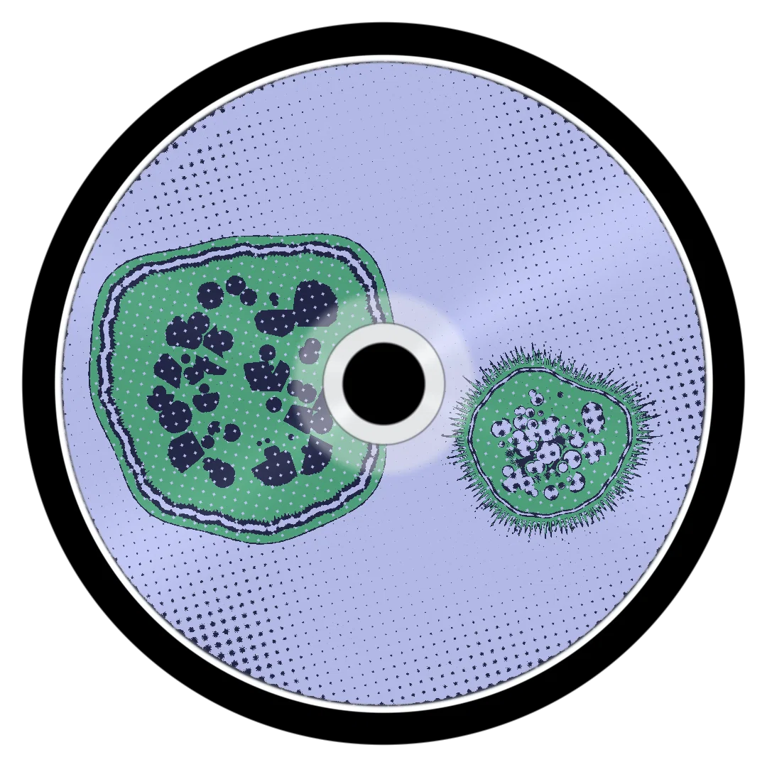 VINEYARD cover