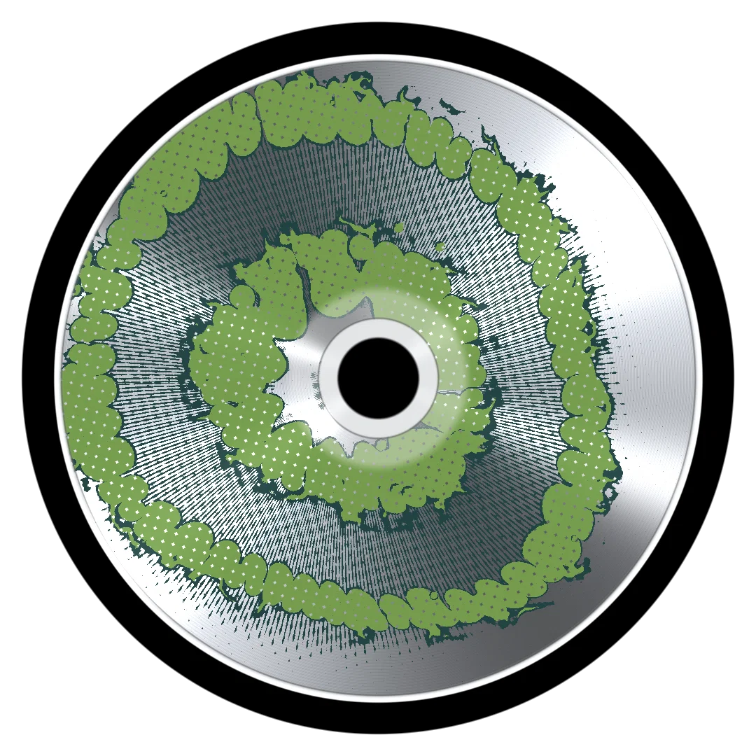 VV VV VV cover