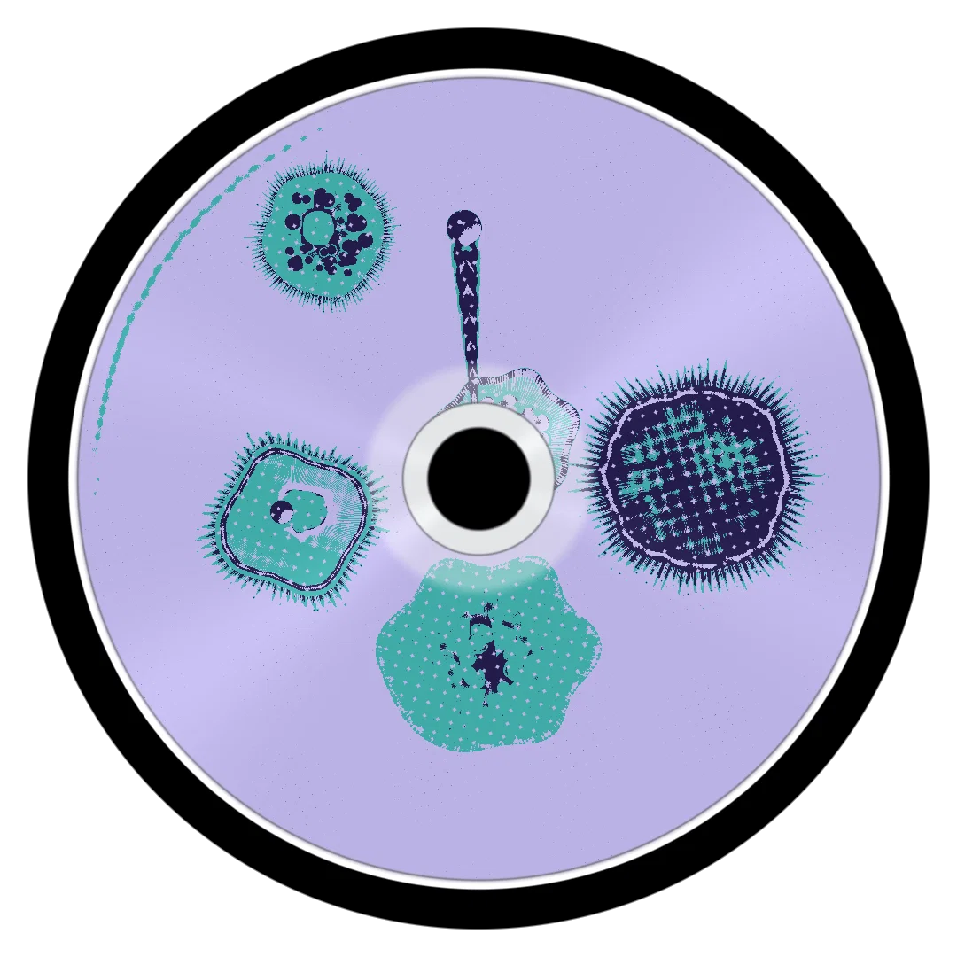 WHIPIT cover