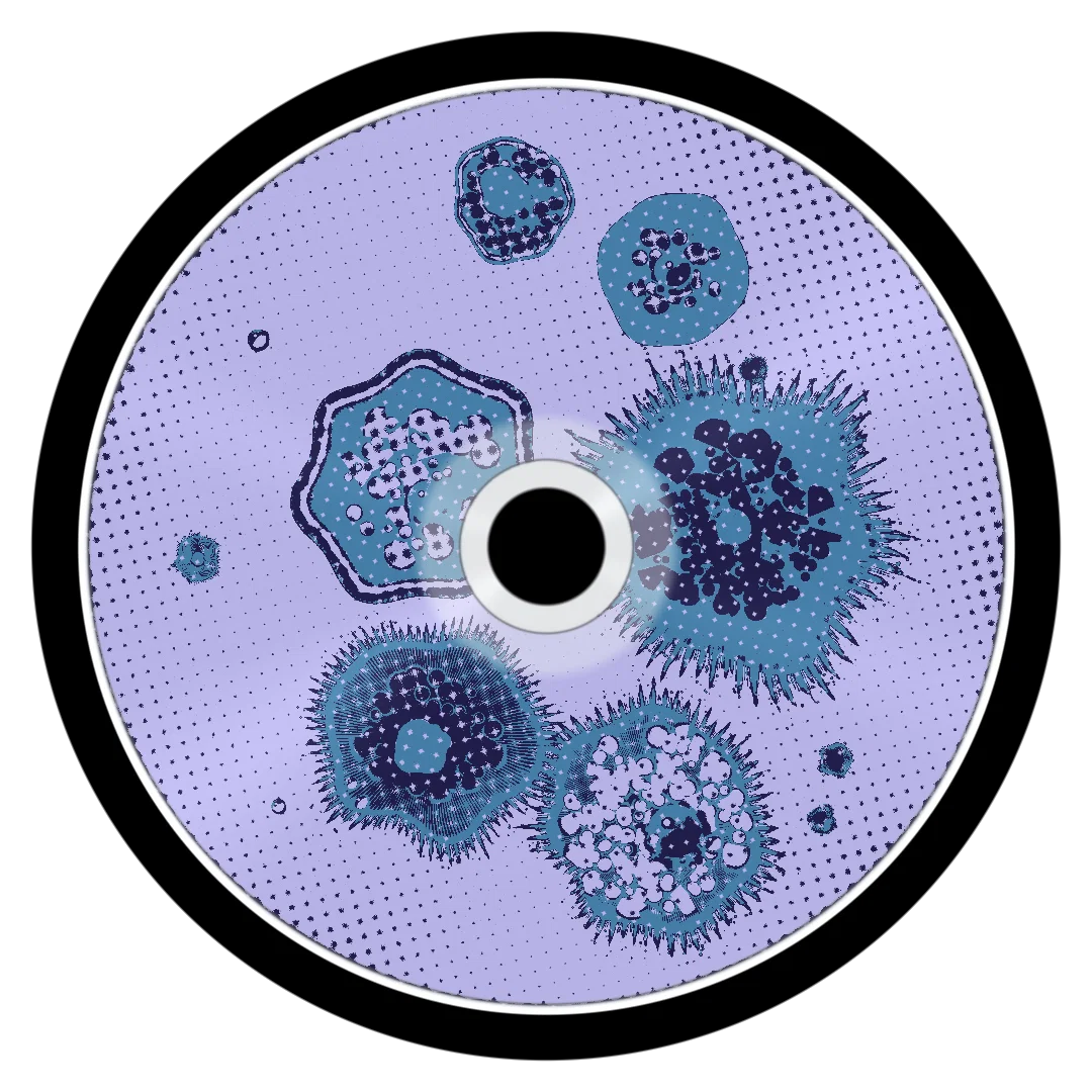 WOCKHARDT cover