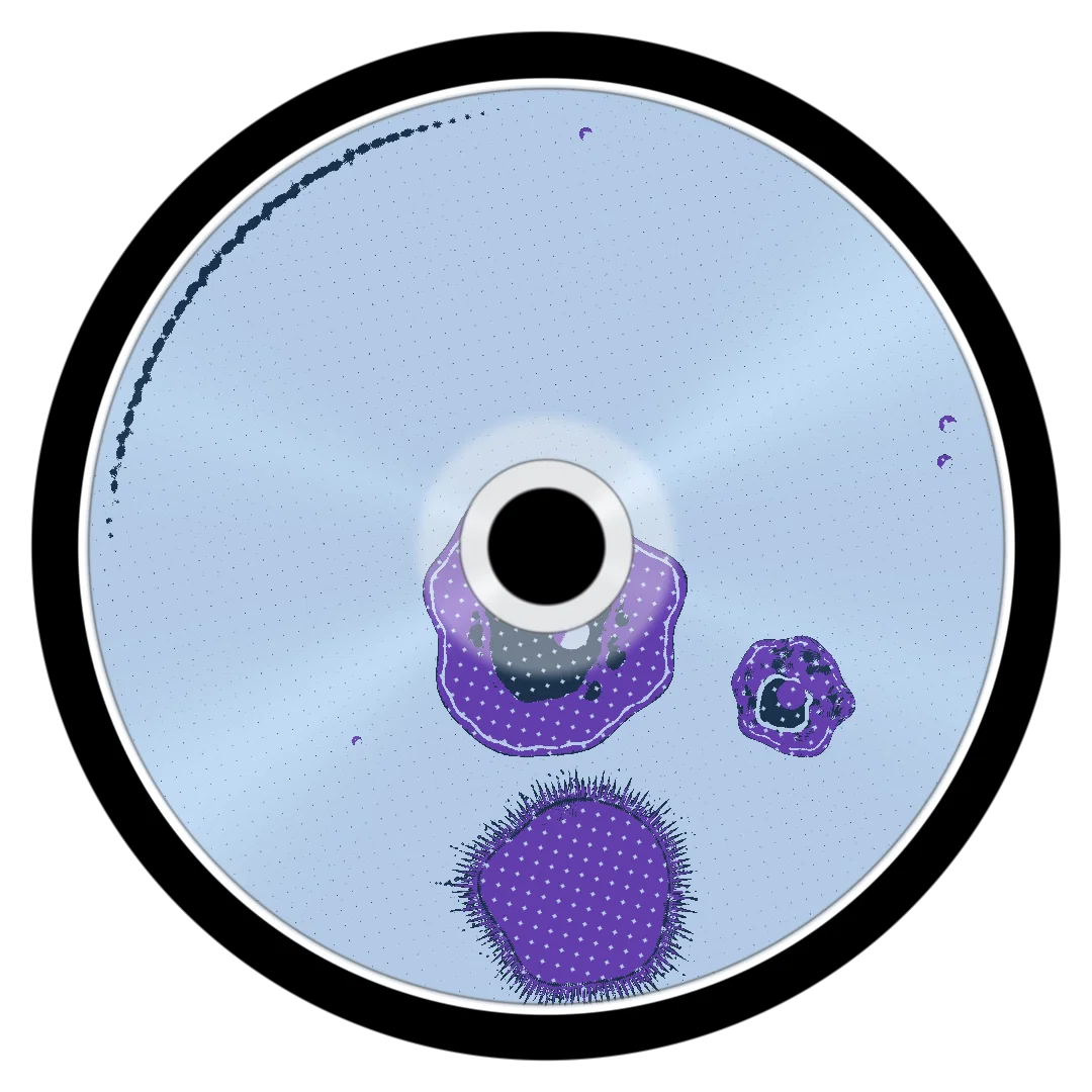 WUMBO II cover