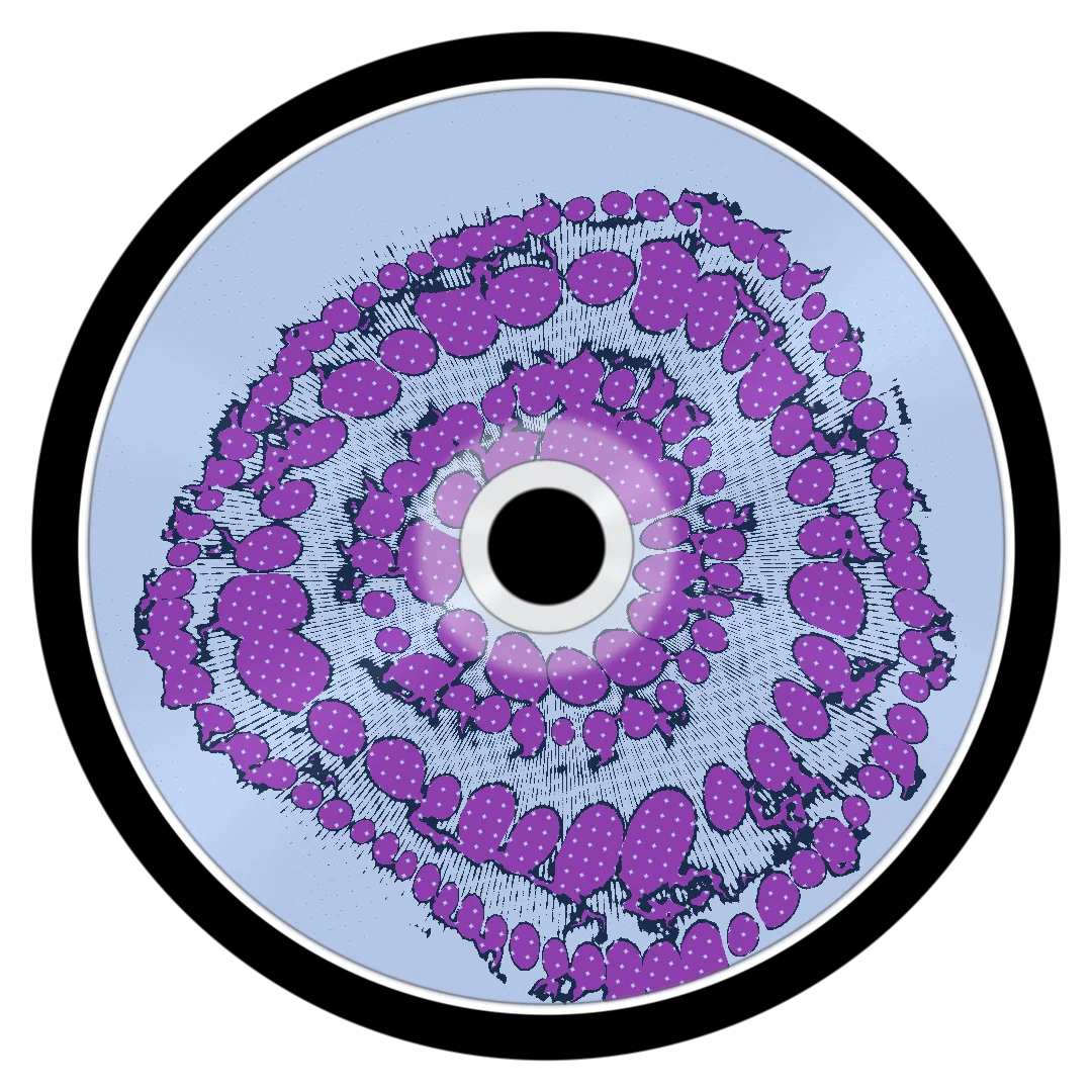 LEMON DROP cover