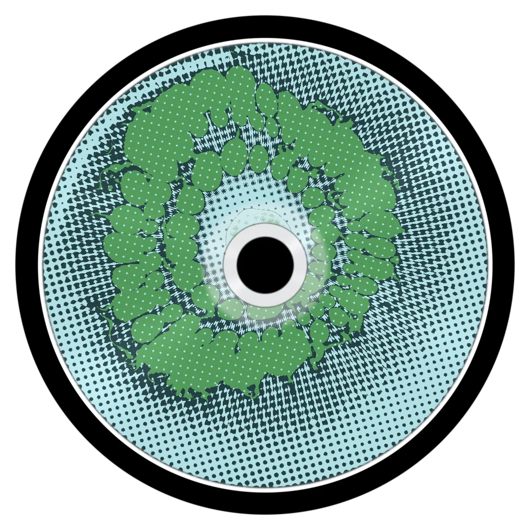 SWAN cover